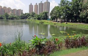 Melbet in Thane: Complete 2027 Guide for Indian Players